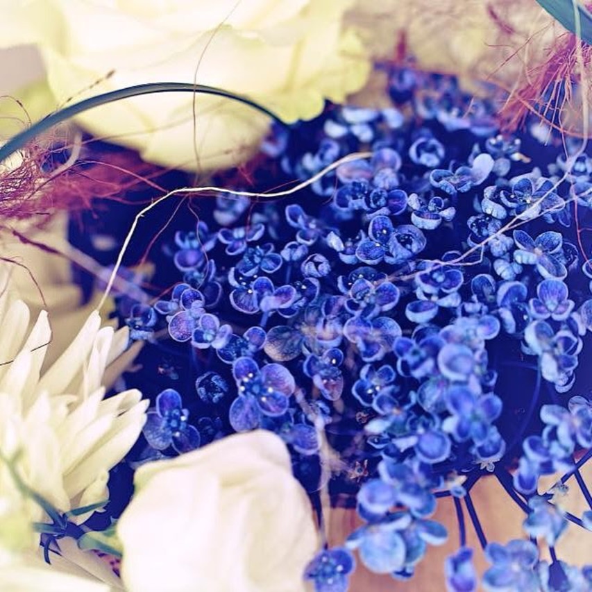 dettaglio addobbi matrimonio fiori blu